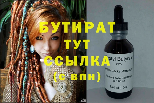 шишки Гусиноозёрск