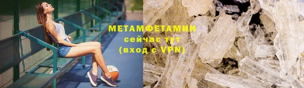 шишки Гусиноозёрск