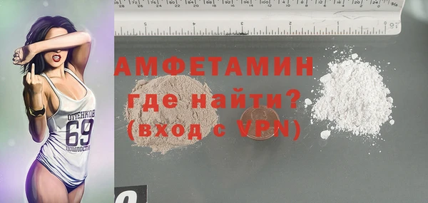 шишки Гусиноозёрск