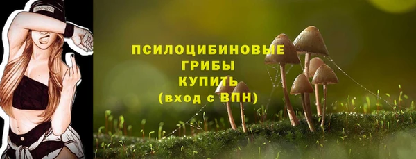шишки Гусиноозёрск