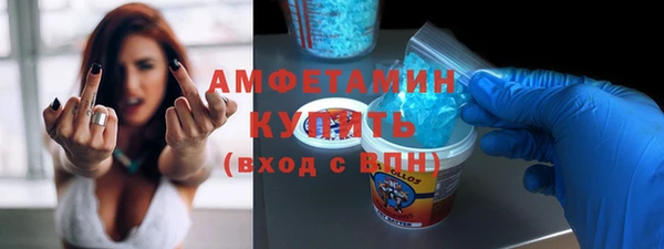 шишки Гусиноозёрск
