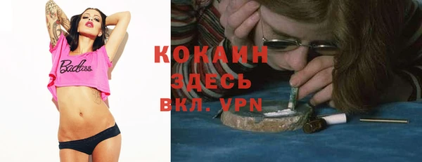 винт Гусев