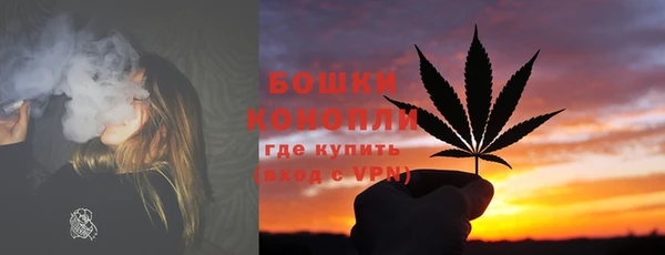 шишки Гусиноозёрск