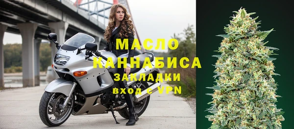 шишки Гусиноозёрск