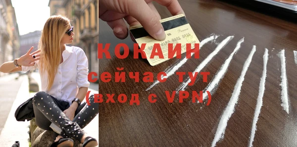 винт Гусев