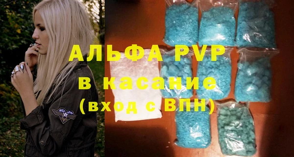 шишки Гусиноозёрск
