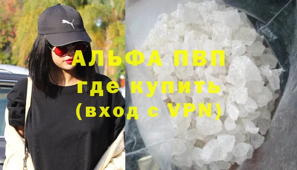 шишки Гусиноозёрск