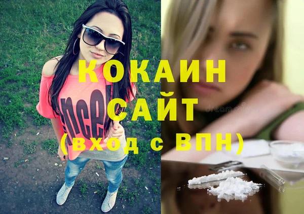 шишки Гусиноозёрск