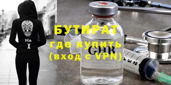 шишки Гусиноозёрск
