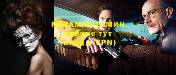 шишки Гусиноозёрск