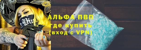 шишки Гусиноозёрск