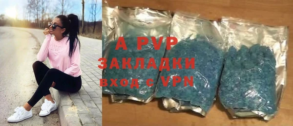 шишки Гусиноозёрск