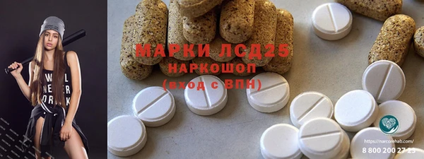 шишки Гусиноозёрск