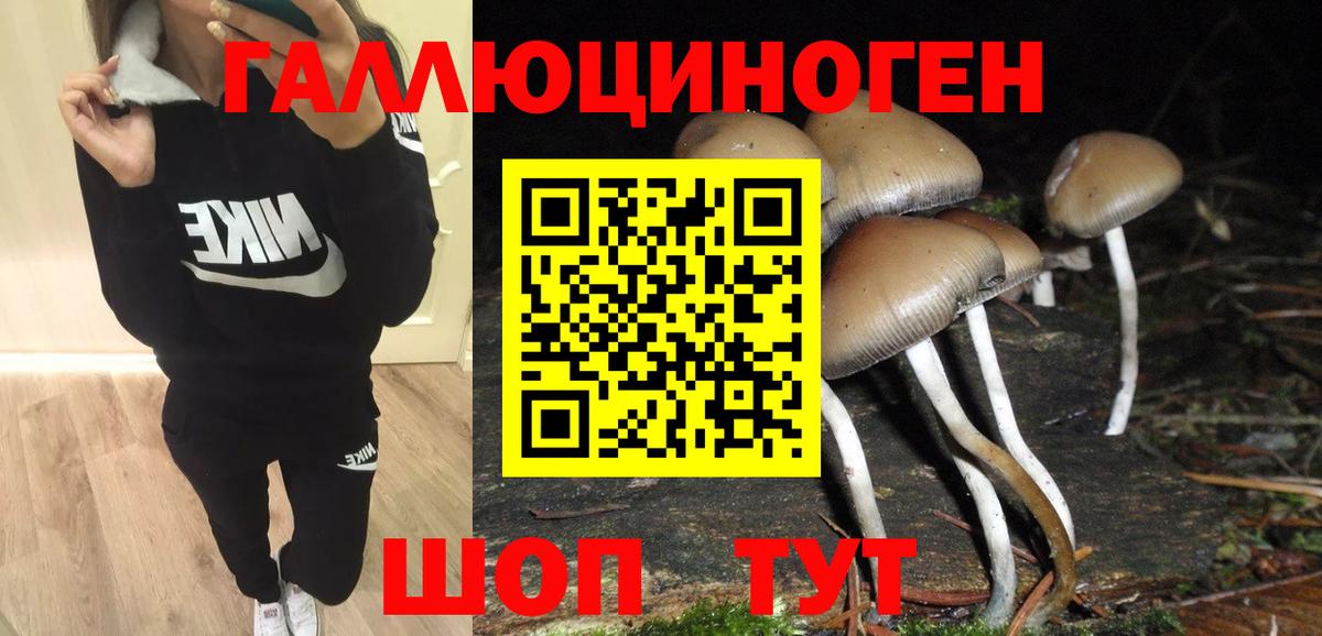 Галлюциногенные грибы Cubensis  купить закладку  Дюртюли  Вход с VPN 