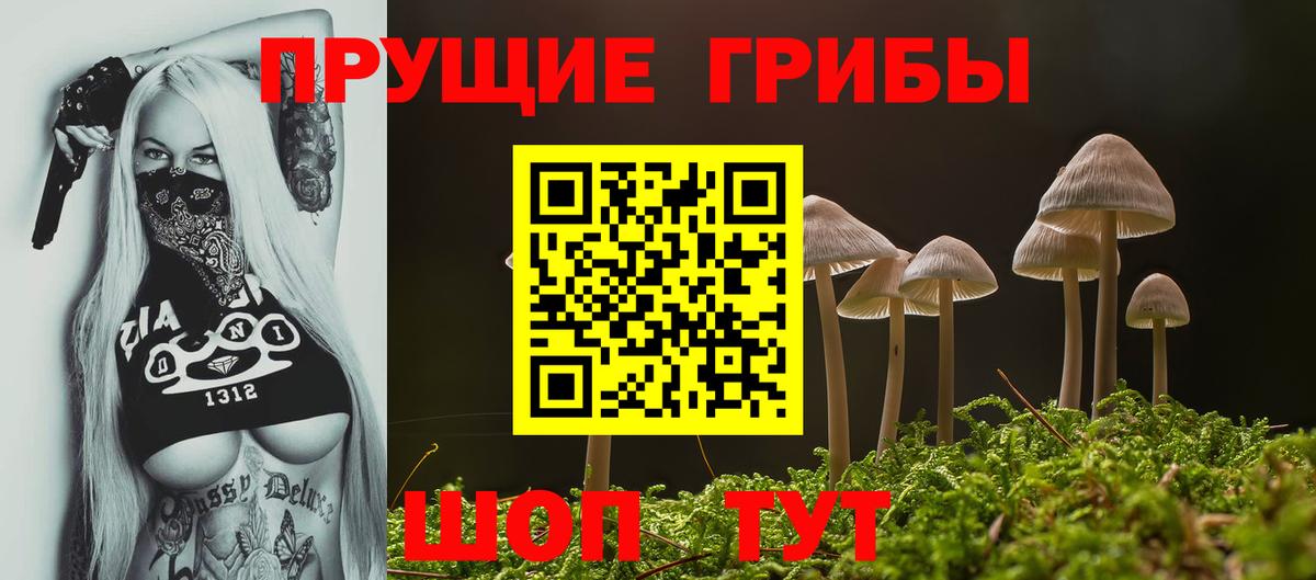 Псилоцибиновые грибы Psilocybe Дюртюли